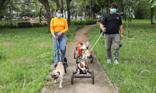 Owners take their dogs out for a walk at a park in HCMC. Photo by VnExpress/Quynh Tran